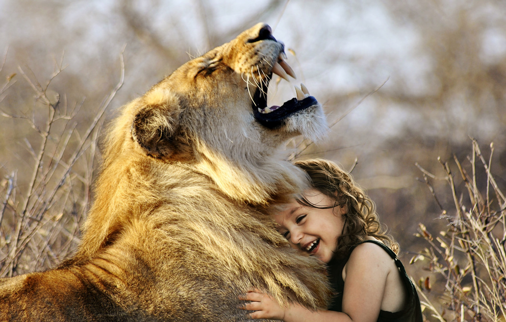Little Girl Hugging A Lion In The Nature